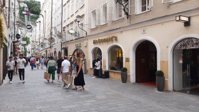 Salzburg: Harmonic Heritage Audio Tour