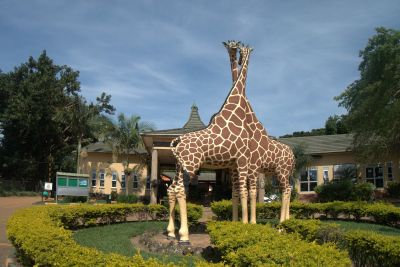 Entebbe: Historic Trails & Natural Wonders Audio Tour - photo 2