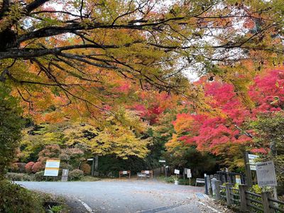 Takayama: Historic Time-Travel Audio Tour