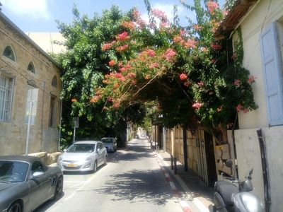 Tel Aviv: Exploring Neve Tzedek Audio Tour - photo 2