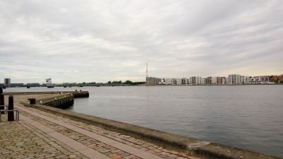 Aalborg: Viking Legacy Audio Tour - photo 2