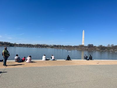 Washington, D.C.: Blossoms & Monuments Audio Tour - photo 2