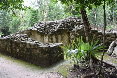 Tulum: Echoes of the Maya Audio Tour - photo 2