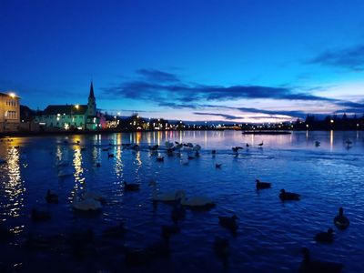 Reykjavik's Viking Age: A Private Walking Tour