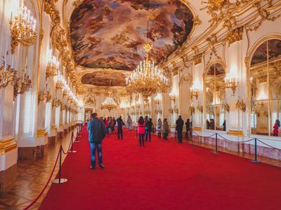 Vienna: Schonbrunn Palace Ticket & Imperial Audio Tour - photo 4