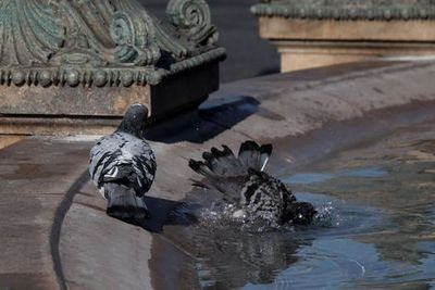 Rome Walking Audio Tour: Vatican Mysteries, Castel Sant'Angelo and More - photo 3