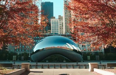 Chicago: Highlights & Gems Audio Tour - photo 4