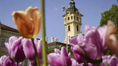 Szeged: Hungarian Gem Exploration Audio Tour - photo 3
