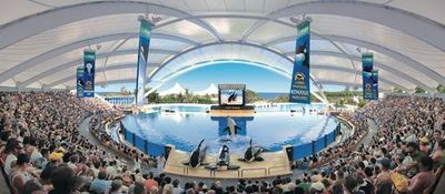 Парк Loro Parque: Входной билет - photo 3