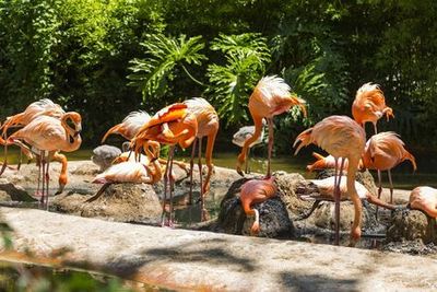 Barcelona Zoo: Skip The Line Ticket - photo 4
