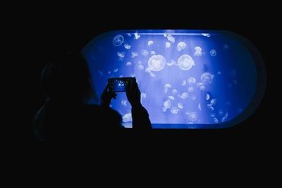 Oceanogràfic de Valencia: Entry Ticket - photo 3