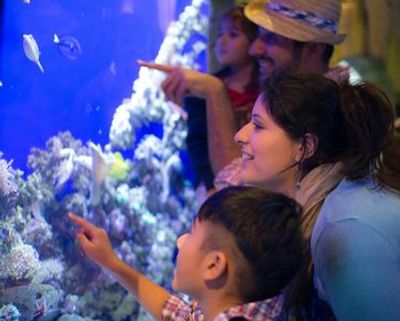 Dubai Aquarium & Burj Khalifa: Level 124/125 Ticket - photo 3