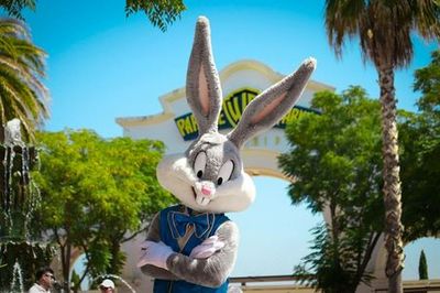 Parque Warner Madrid: Entry Ticket - photo 3