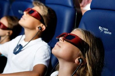 Palma Aquarium: Skip The Line Ticket - photo 4