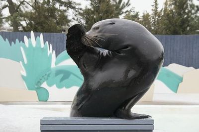 New York Aquarium: Entry Ticket - photo 4