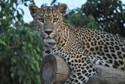 Terra Natura Murcia: Entry Ticket - photo 3