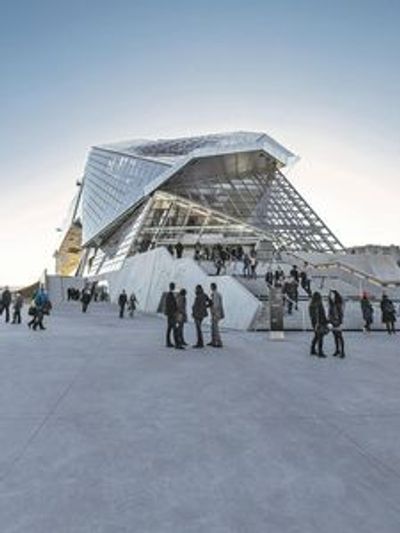 Musée des Confluences: Entry Ticket - photo 3