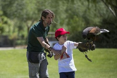 Sendaviva: Fast Track Ticket - photo 3