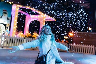 Amsterdam Winter Paradise: Entry Ticket - photo 3