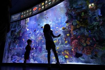 New England Aquarium: Entry Ticket - photo 3