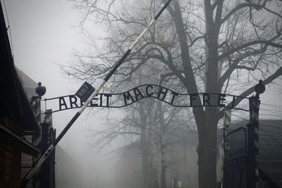 Auschwitz-Birkenau: Entry + Transport - photo 3