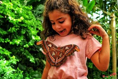 Benalmadena Butterfly Park: Entry Ticket - photo 3