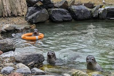 Exploris Aquarium: Entry Ticket - photo 4