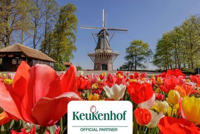 Keukenhof: Entry Ticket + Windmill Cruise + Transport - photo 3