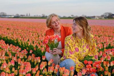 The Tulip Barn: Entry Ticket - photo 4