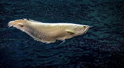 Parque Explora: Entry Ticket - photo 4