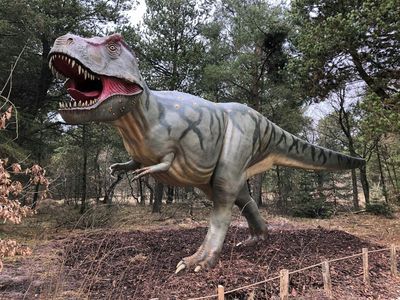 Givskud Zoo - Zootopia: Entry Ticket - photo 4