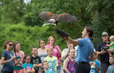 Nashville Zoo at Grassmere: Fast Track Ticket - photo 3