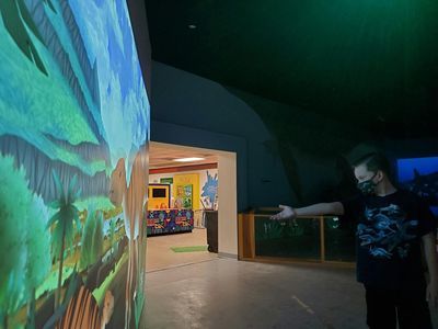 Las Vegas Natural History Museum: Entry Ticket - photo 4