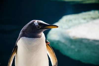 Faunia Nature Park: Entry Ticket - photo 3