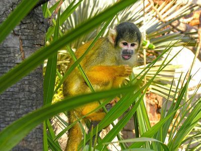 Terra Natura & Aqua Natura Benidorm: Combi Entry Ticket - photo 4