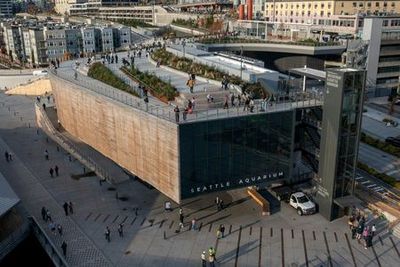 Seattle Aquarium: Entry Ticket - photo 3