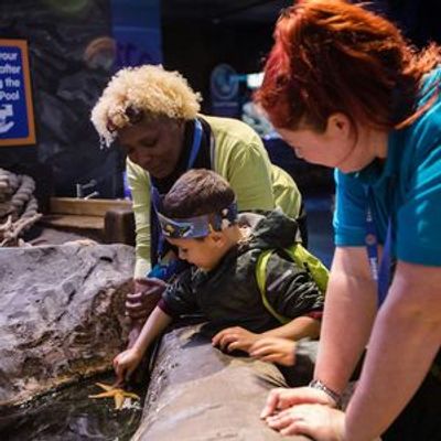 SEA LIFE Birmingham: Entry Ticket - photo 3