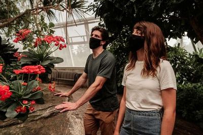 Niagara Falls Butterfly Conservatory: Entry Ticket - photo 4