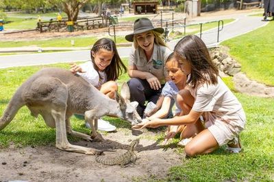 Currumbin Wildlife Sanctuary: Entry Ticket - photo 3