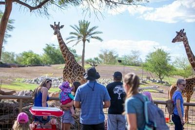 Phoenix Zoo: Entry Ticket - photo 3