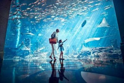 The Lost Chambers Aquarium: Entry Ticket - photo 3