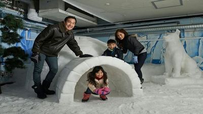 Snow City Singapore: Entry Ticket - photo 4
