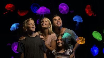 SEA LIFE Sunshine Coast: Entry Ticket - photo 4