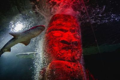 SEA LIFE Kelly Tarlton's Aquarium: Skip The Line Ticket - photo 3