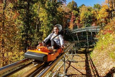 Rocky Top Mountain Coaster: Entry Ticket - photo 3