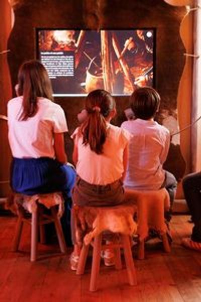 The Viking Immersive Exhibition: Entry Ticket - photo 3