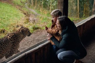 ZooParc Overloon: Entry Ticket - photo 4