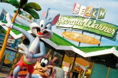 Parque Warner Madrid & Warner Beach: Entry Ticket - photo 3