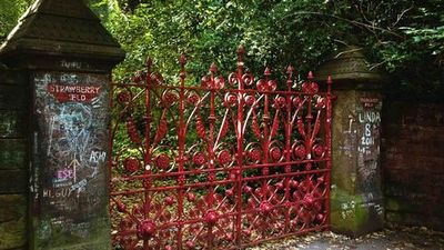 Strawberry Field: Entry Ticket - photo 4