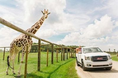 Wild Florida Drive-Thru Safari Park Admission - photo 3